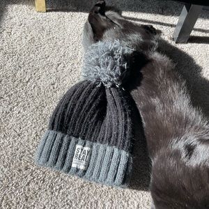 Beanie